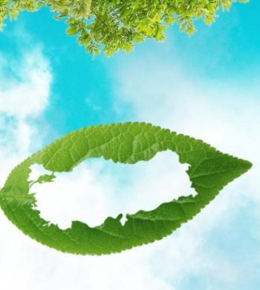 Screenshot From 2025-10-26 17-37-16 Screenshot From 2025-10-26 17-37-16